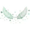 Two feathers