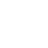 Skull wings