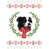 Border Collie hässlicher Weihnachtspullover