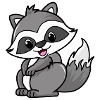 racoon