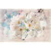 Japanese cherry blossom