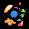 Masque bactérien biologiste microbiome biologie