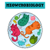Meowcrobiology