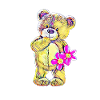 Teddybär