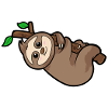 sloth
