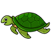 turtle