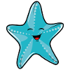 starfish