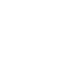 Anchor skull