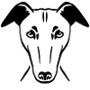Greyhound