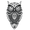 Mandala Owl