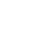 Sahara desert camel