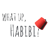 What up, habibi?