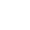 Elegant flying hawk