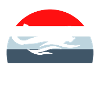 swimmer