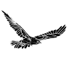 Hawk Black Marble