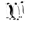 3 emperor penguins