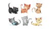 Cats illustration