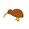 kiwi
