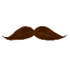 Moustache