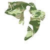 Angler camouflage