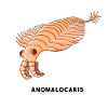ANOMALOCARIS
