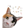 Curious Calico Cat