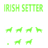 Stubborn Irish Setter Tricks