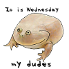 C’est mercredi mes mecs - mème