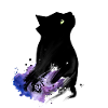 Black Cat