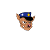 Cops are shit!
