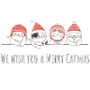 Chat de Noël