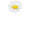 Be happy flower