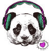 Panda pregnancy