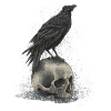 crow skull