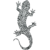 lizard