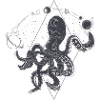 geometric octopus