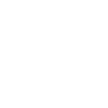 Car racing checkered flag