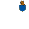 Cadeau de rongeur cobaye Capybara