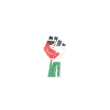 Palestine independence