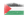 Palestine heart politics