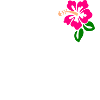 KONA 2021 READY - TRIATHLON HAWAII