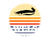 Wels Angeln Waller