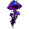 Psychedelic mushrooms