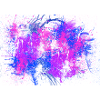 Colours