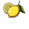 Illustration citron d’agrumes