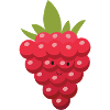 raspberry