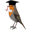 Oiseau célibataire