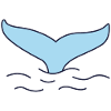 Whale - whale fin