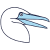 Northern Gannet - Bird