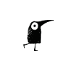 funny birds walking